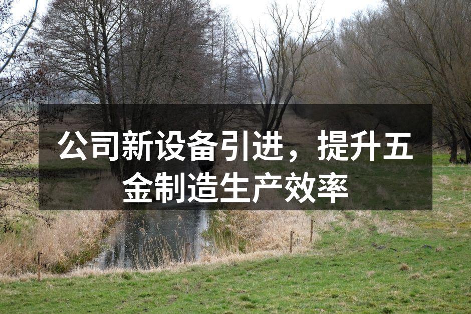 自动化冲压机提升生产效率